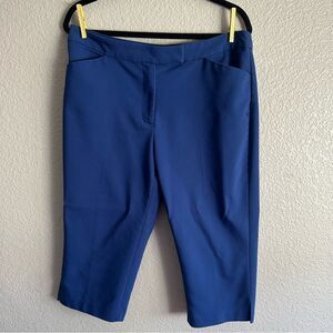 Ruby Rd. Petite Blue Capri Dress Pants - Size 14P
